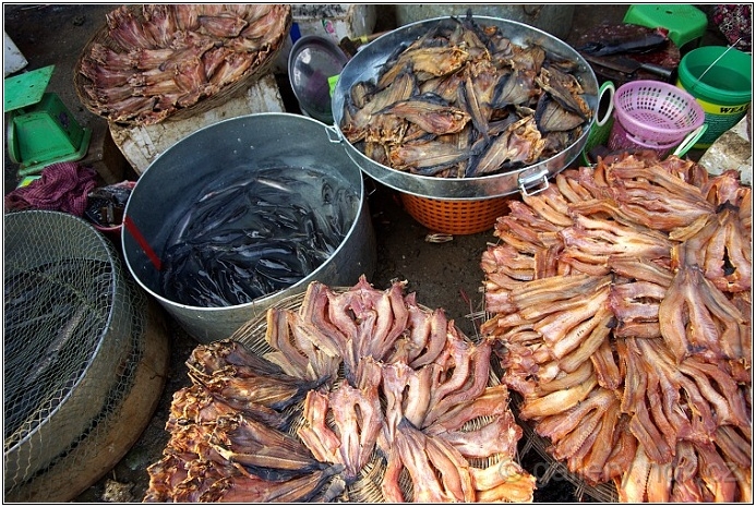 Kambodža / Cambodia