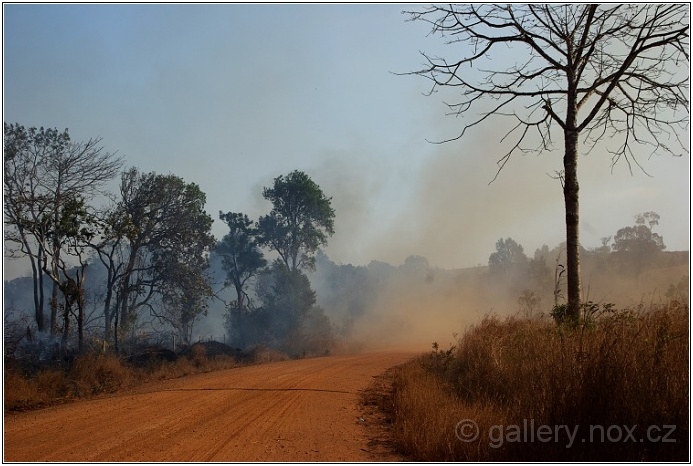 Kambodža / Cambodia