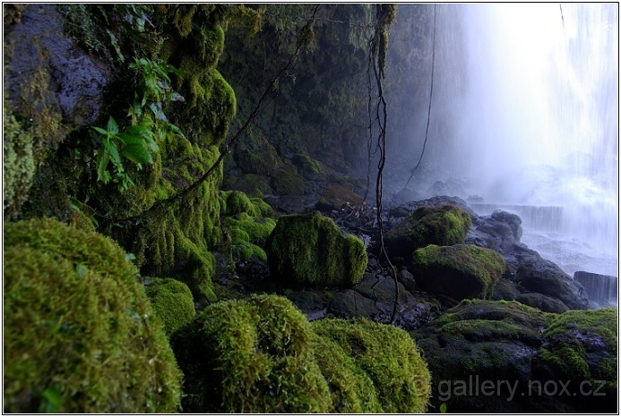Kambodža / Cambodia