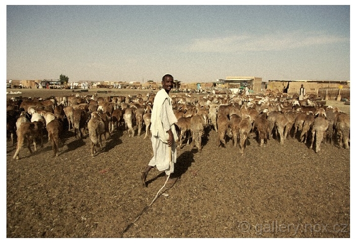 Súdán / Sudan